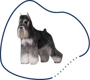 mitl